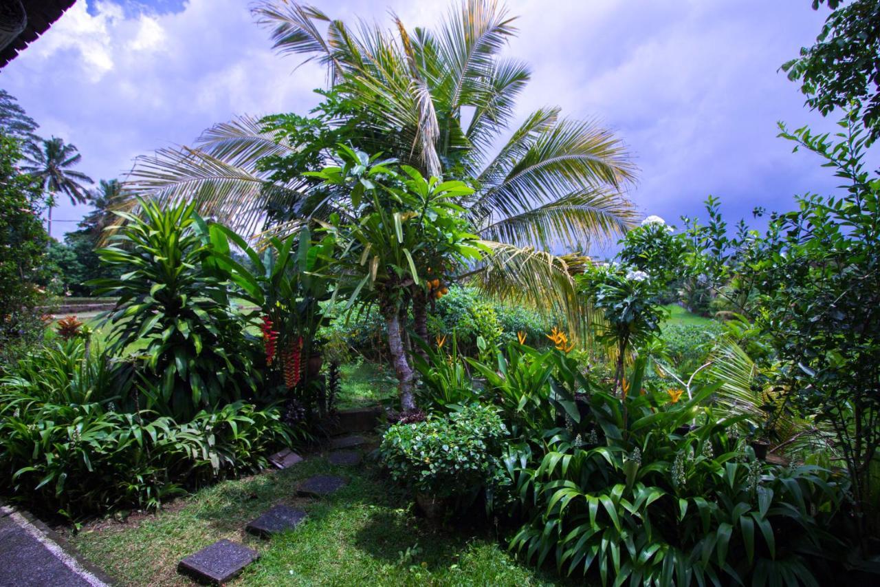 Yoga House Ubud Exterior foto